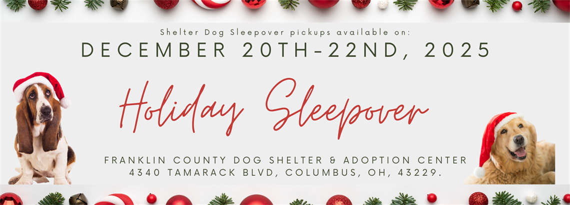 2025 Holiday Sleepover Event Cover (1).png